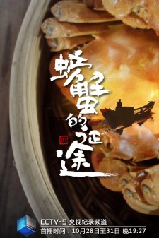 螃蟹的征途 全4集 导演: 辛鹏宇 / 胡滨 / 丁菁