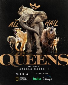大自然的女王 | 全7集 | 1080p | 类型: 纪录片 | 导演: FaithMusembi/IlairaMallalieu | 主演: 安吉拉·贝塞特