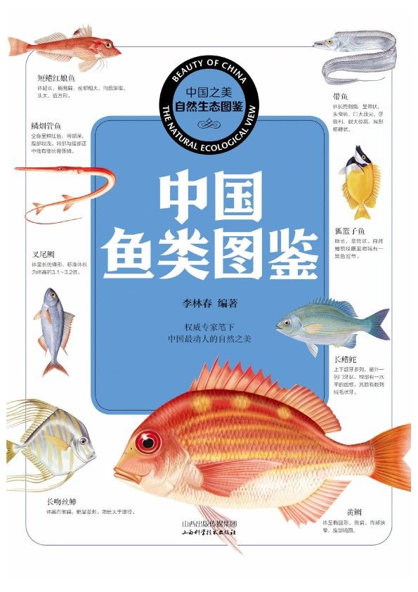 中国鱼类图鉴 (中国之美自然生态图鉴) 李林春 编著 PDF - 爱看电影爱看美剧