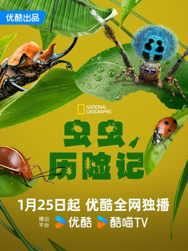 虫虫历险记 / A Real Bug's Life 又名: 虫虫危机 真实虫虫危机 全5集 | 类型: 纪录片 冒险 主演: 奥卡菲娜  第1张