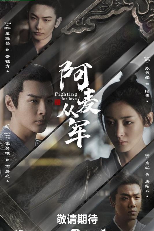 电视剧版阿麦从军 / 阿麦从军 | 全36集 爱情 古装 主演:张天爱 /张昊唯 /王瑞昌 /高戈 ＊内封简繁英多国软字幕＊  第1张