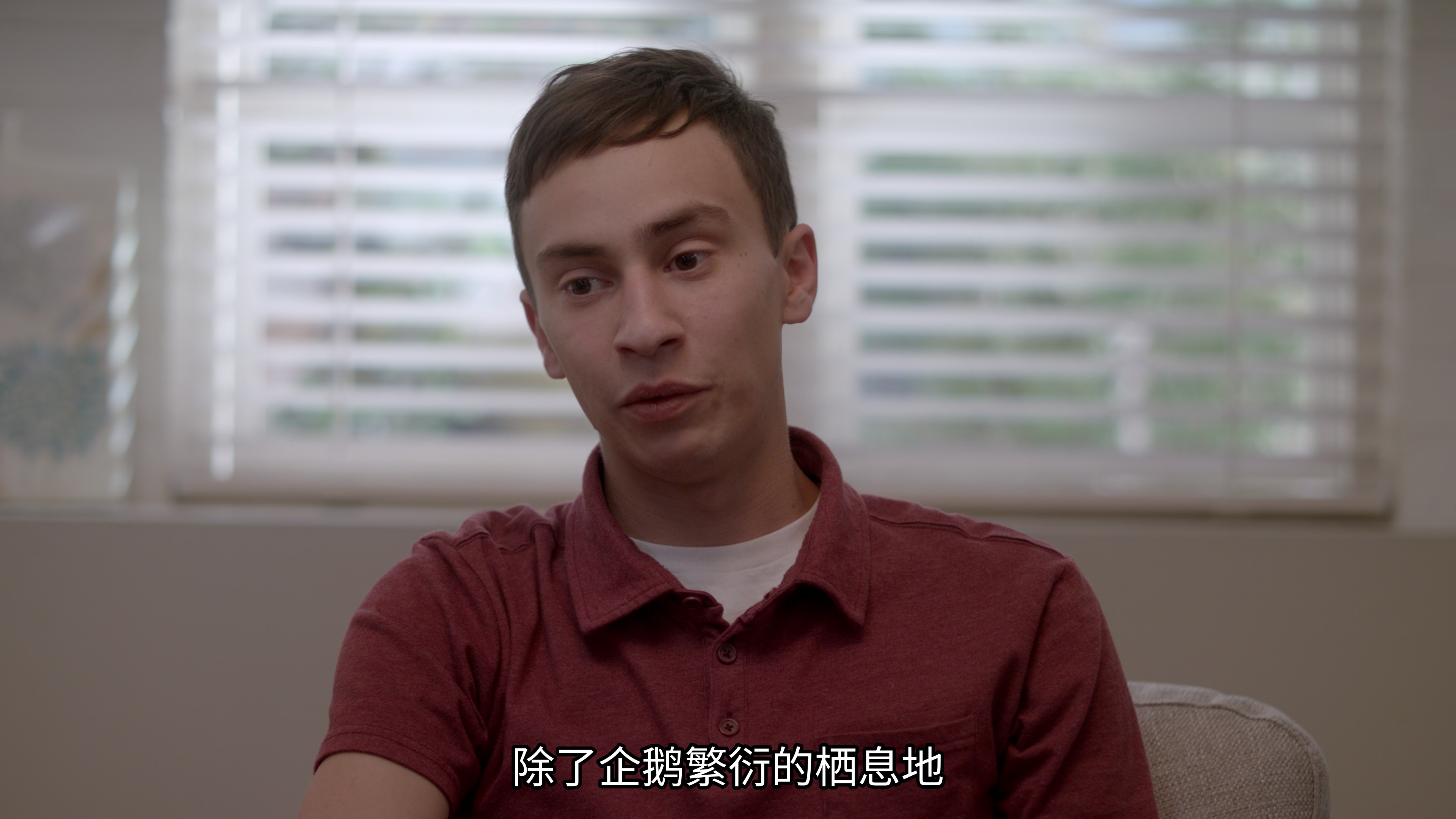  4k|中字|非典型少年 第一季 Atypical Season 1 (2017) 第2张