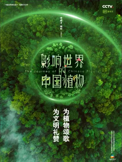 影响世界的中国植物 (2019)  第1张