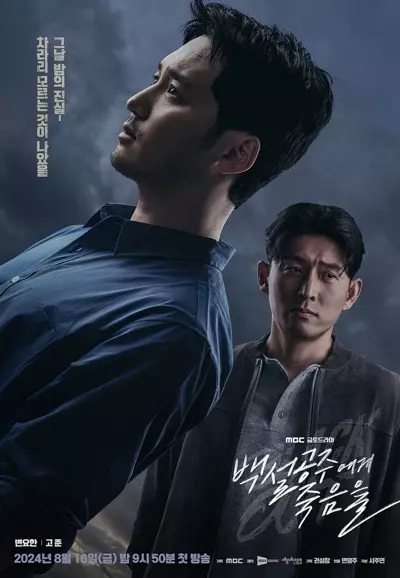 更22|1080p|繁中|白雪公主必须死-BLACK OUT 백설공주에게 죽음을-BLACK (2024)  第1张