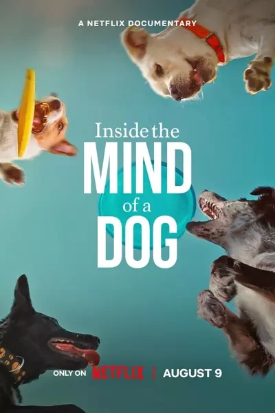 汪星人的奇思妙想 Inside the Mind of a Dog (2024)  第1张