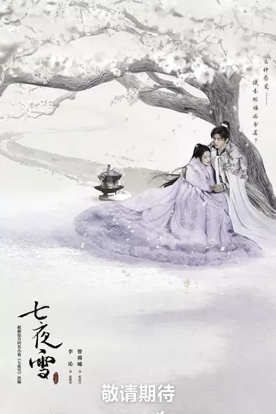 更14|七夜雪 (2024)  第1张